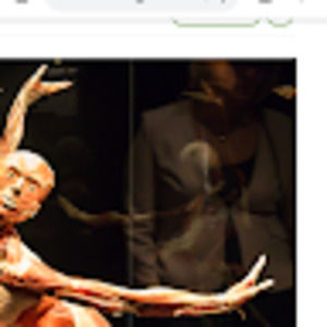 Meet your Posher, Sonya